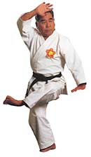 Karate Goju Ryu - Sport da combattimento