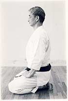 Karate Shotokai - Sport da combattimento